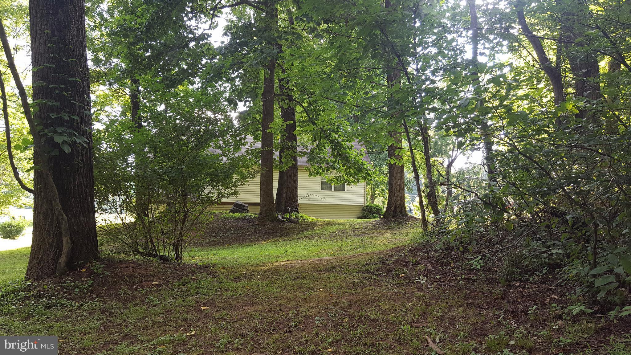 3182 Vineyard Road Falling Waters, WV 25419 - Photo 4 of 29 Private and secluded back yard