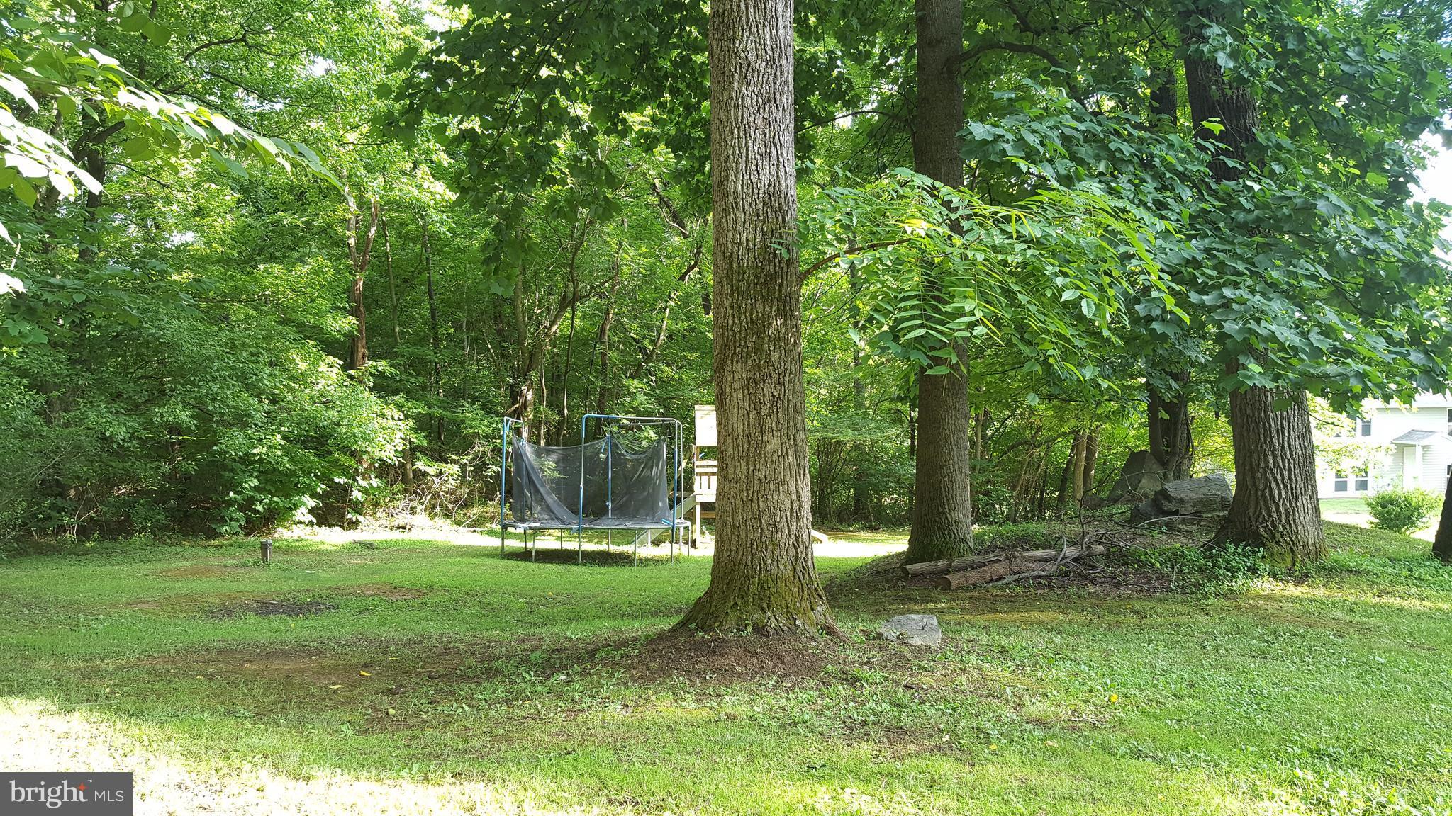3182 Vineyard Road Falling Waters, WV 25419 - Photo 5 of 29 Relax and entertain in the shade of your back yard