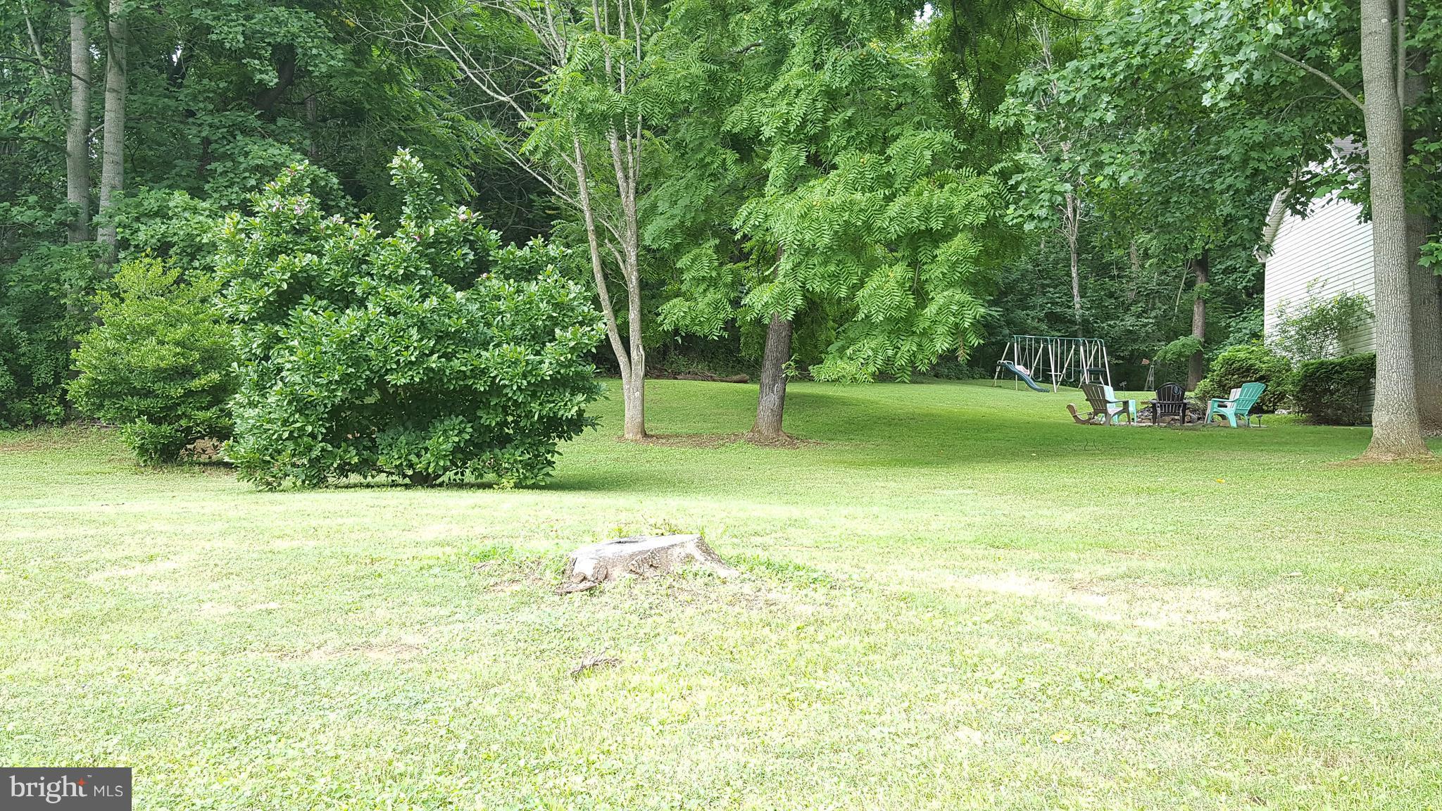 3182 Vineyard Road Falling Waters, WV 25419 - Photo 7 of 29 Side yard