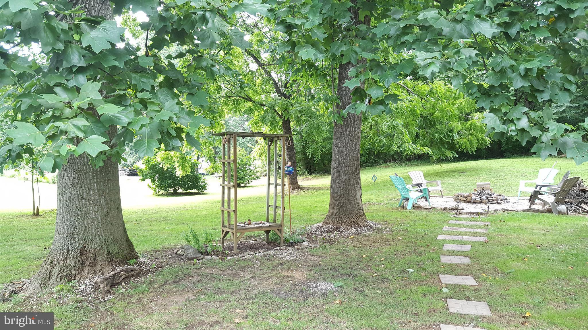 3182 Vineyard Road Falling Waters, WV 25419 - Photo 8 of 29 Peaceful and relaxing side yard