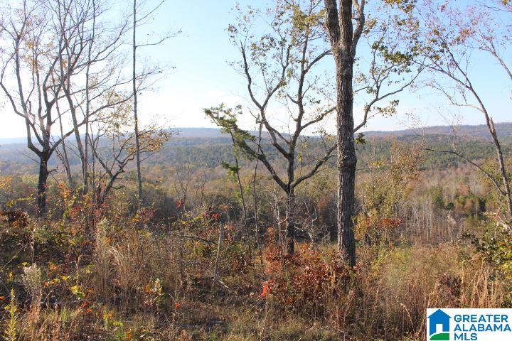 0 Shaw Road, Unit 1 Pell City, AL 35128 - Photo 3 of 7