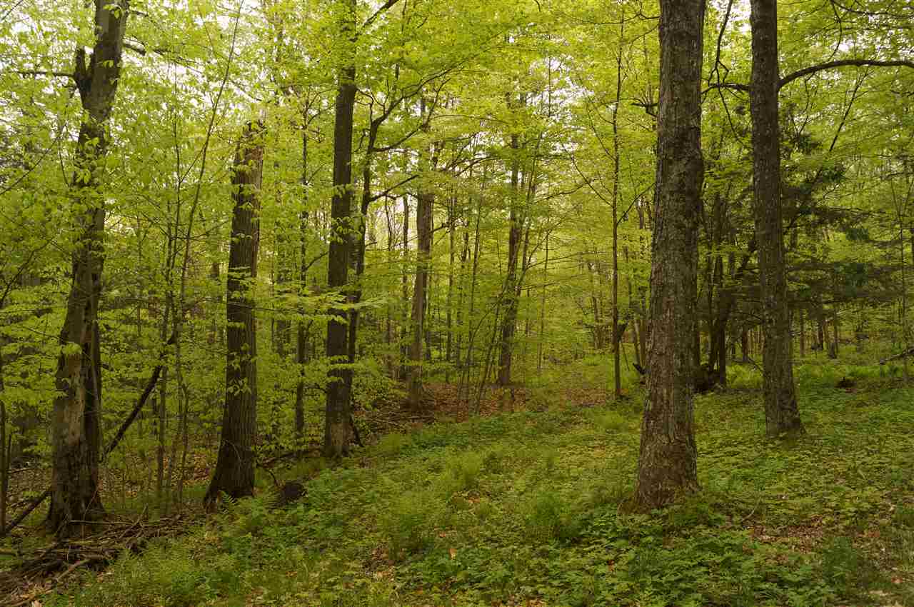 2851 Witchcat Road Bakersfield, VT 05450 - Photo 1 of 27