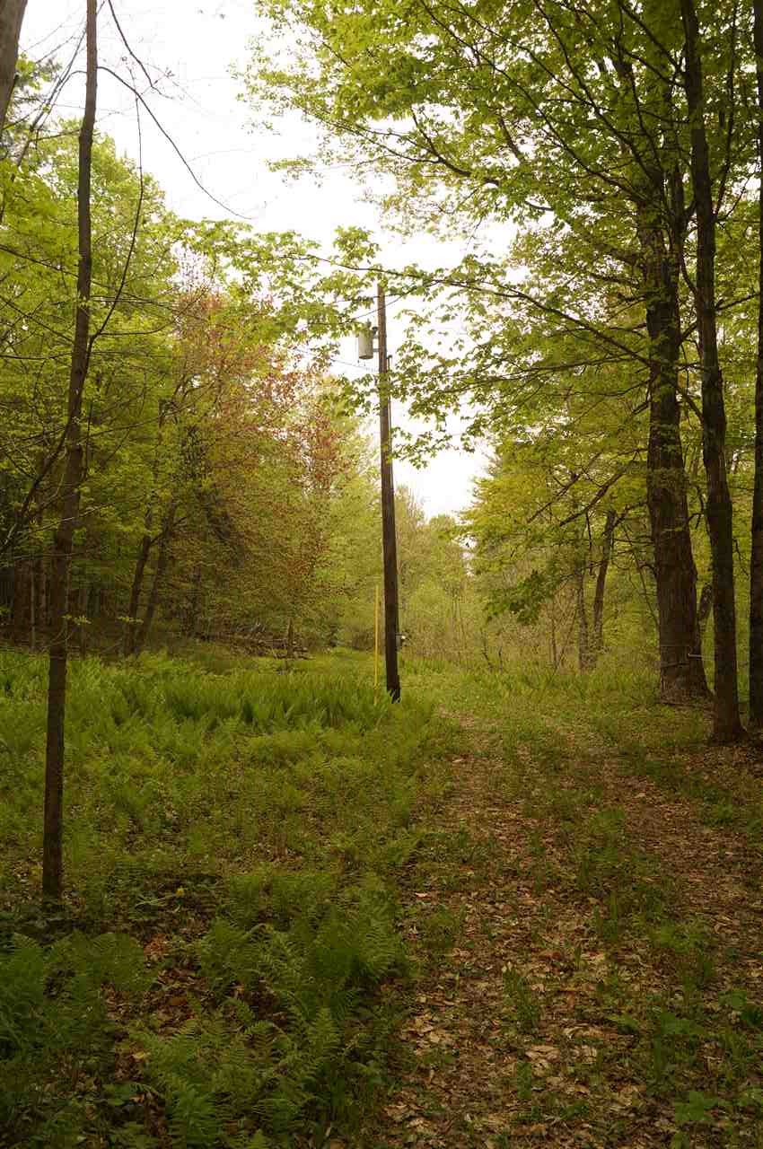 2851 Witchcat Road Bakersfield, VT 05450 - Photo 2 of 27