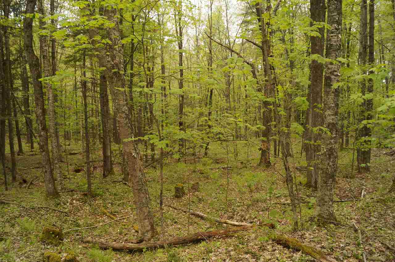 2851 Witchcat Road Bakersfield, VT 05450 - Photo 13 of 27