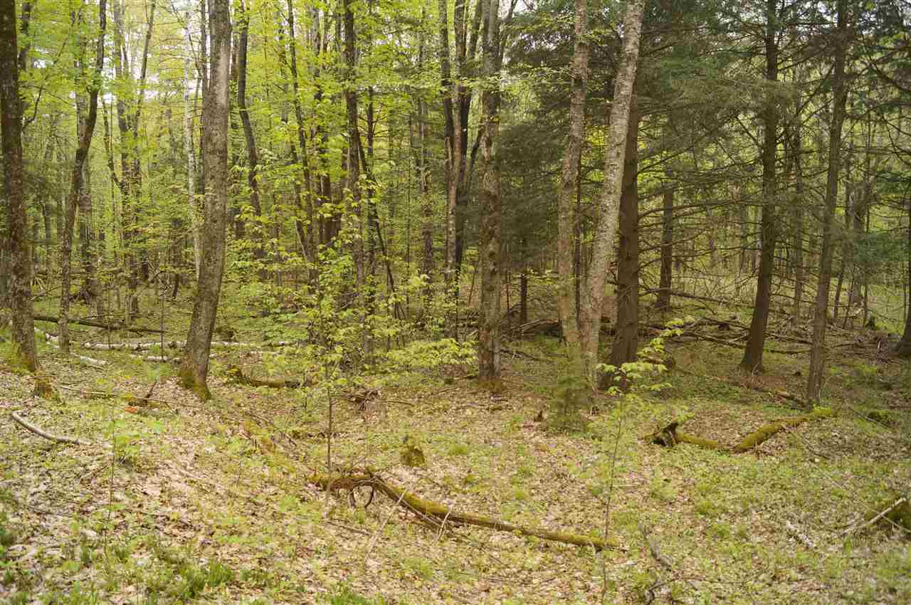 2851 Witchcat Road Bakersfield, VT 05450 - Photo 14 of 27