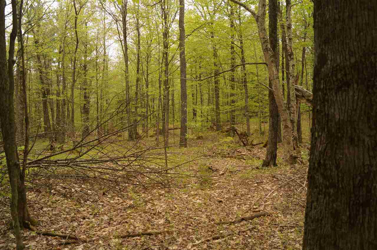 2851 Witchcat Road Bakersfield, VT 05450 - Photo 15 of 27