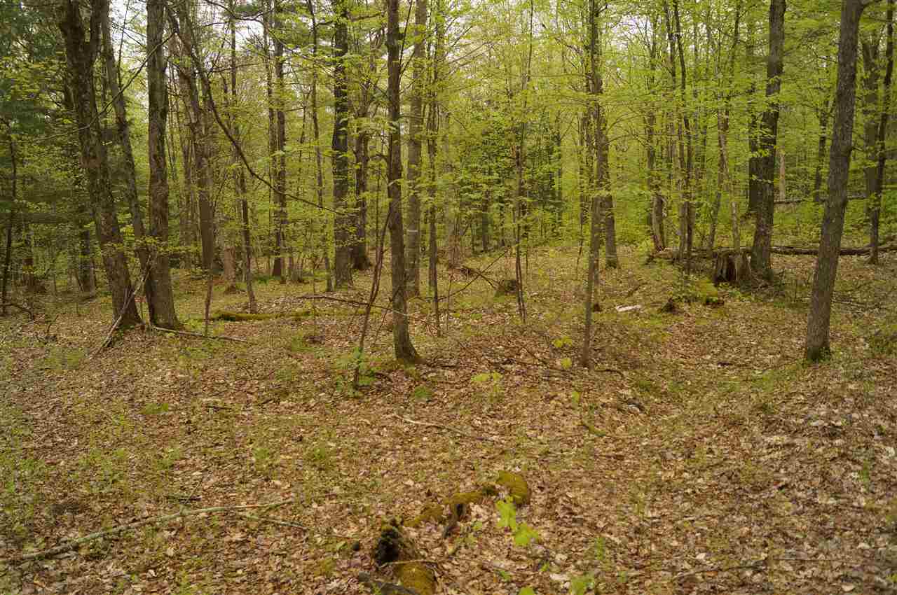 2851 Witchcat Road Bakersfield, VT 05450 - Photo 16 of 27