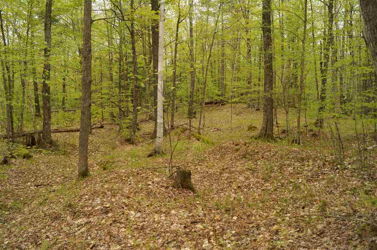 2851 Witchcat Road Bakersfield, VT 05450 - Photo 17 of 27