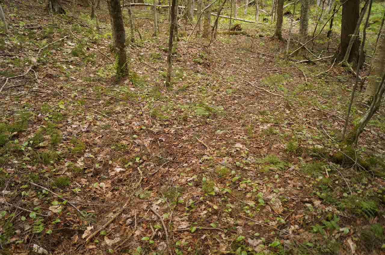2851 Witchcat Road Bakersfield, VT 05450 - Photo 19 of 27