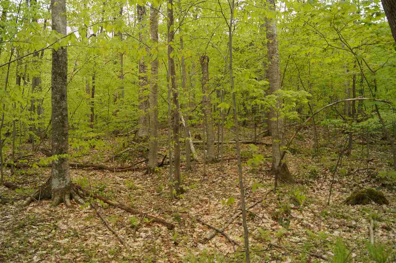 2851 Witchcat Road Bakersfield, VT 05450 - Photo 20 of 27