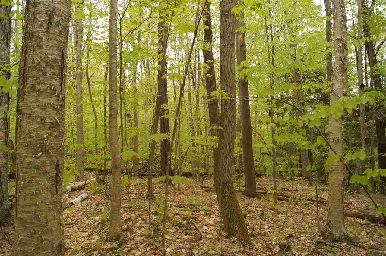 2851 Witchcat Road Bakersfield, VT 05450 - Photo 21 of 27