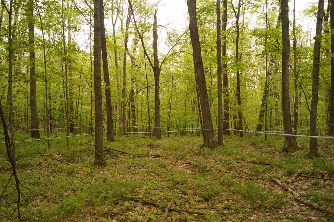 2851 Witchcat Road Bakersfield, VT 05450 - Photo 22 of 27
