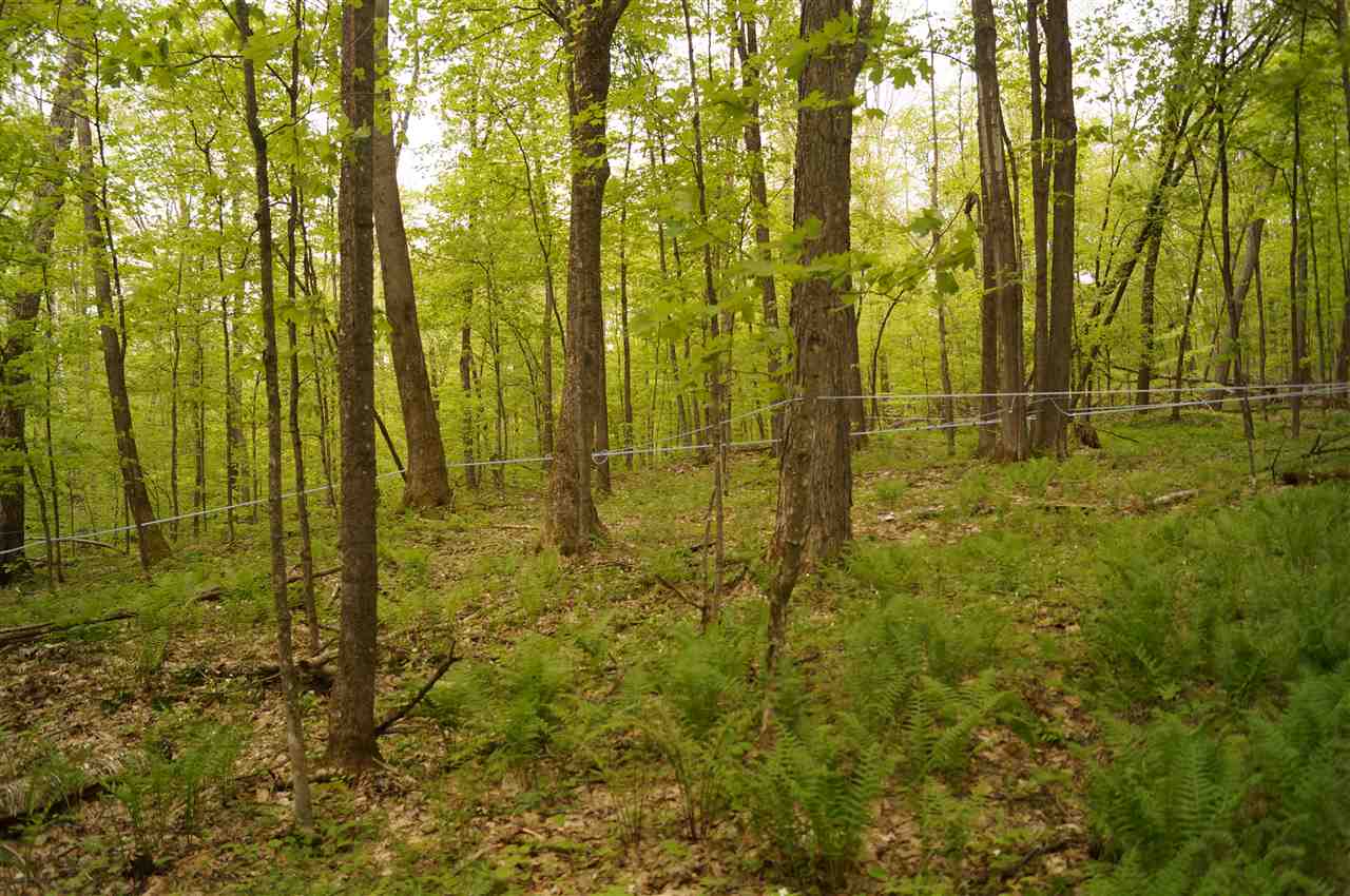 2851 Witchcat Road Bakersfield, VT 05450 - Photo 24 of 27