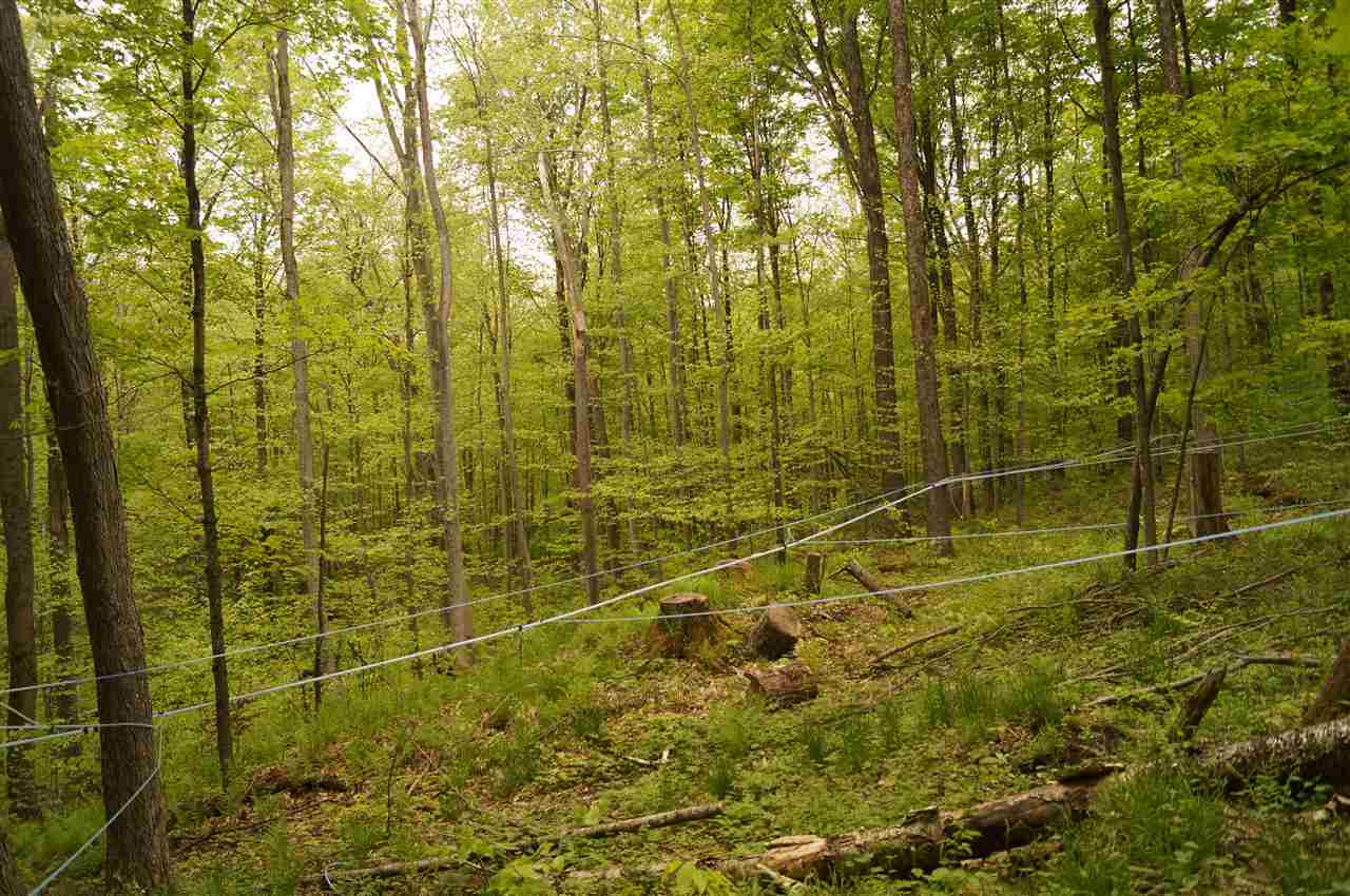 2851 Witchcat Road Bakersfield, VT 05450 - Photo 25 of 27