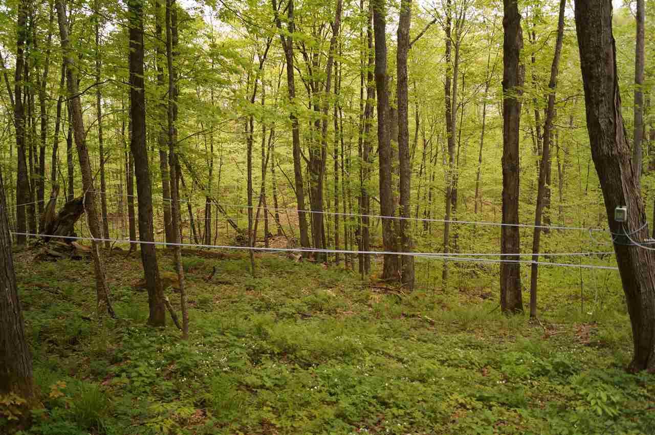 2851 Witchcat Road Bakersfield, VT 05450 - Photo 26 of 27