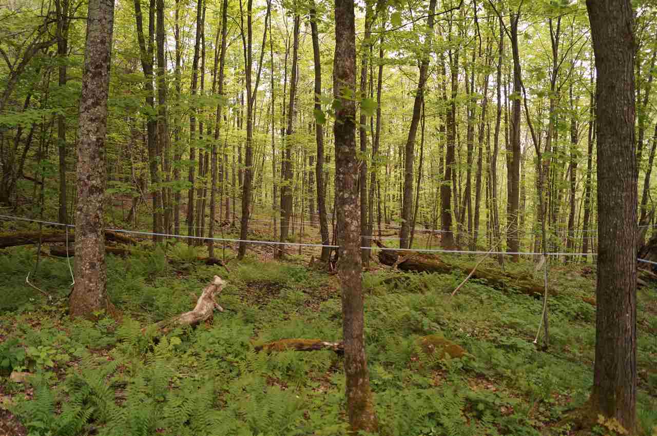 2851 Witchcat Road Bakersfield, VT 05450 - Photo 27 of 27