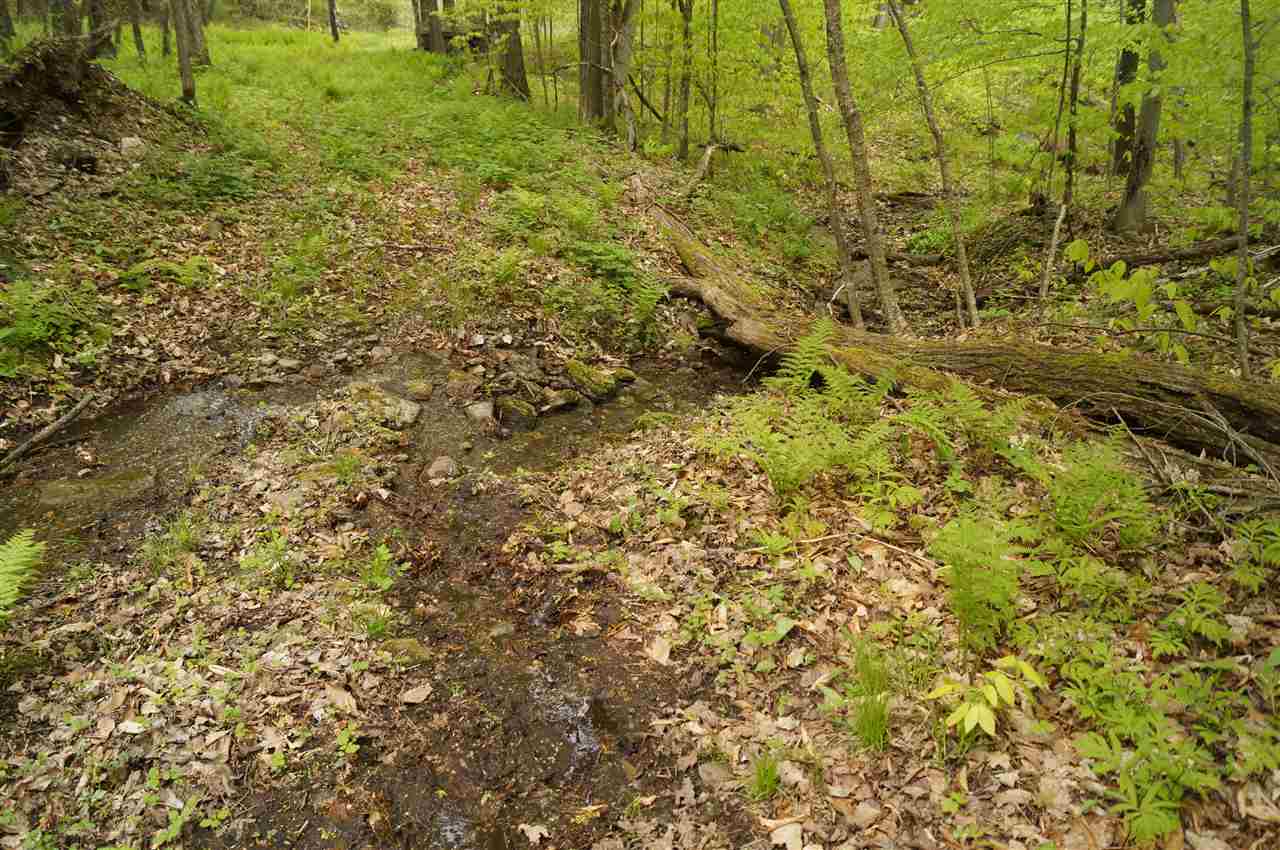 2851 Witchcat Road Bakersfield, VT 05450 - Photo 4 of 27