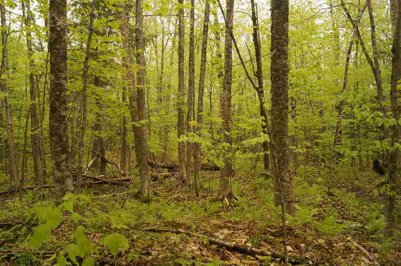 2851 Witchcat Road Bakersfield, VT 05450 - Photo 7 of 27