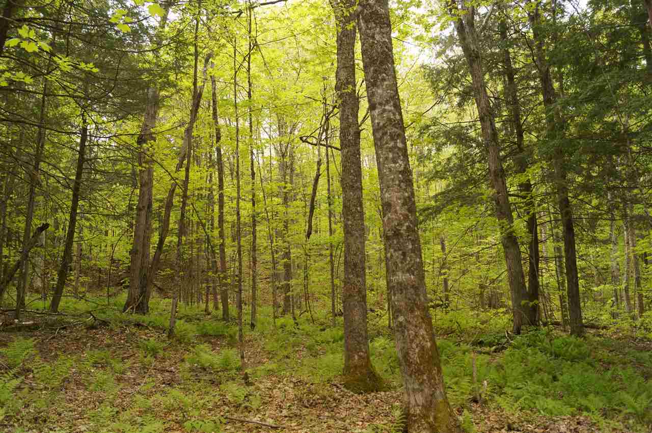 2851 Witchcat Road Bakersfield, VT 05450 - Photo 8 of 27