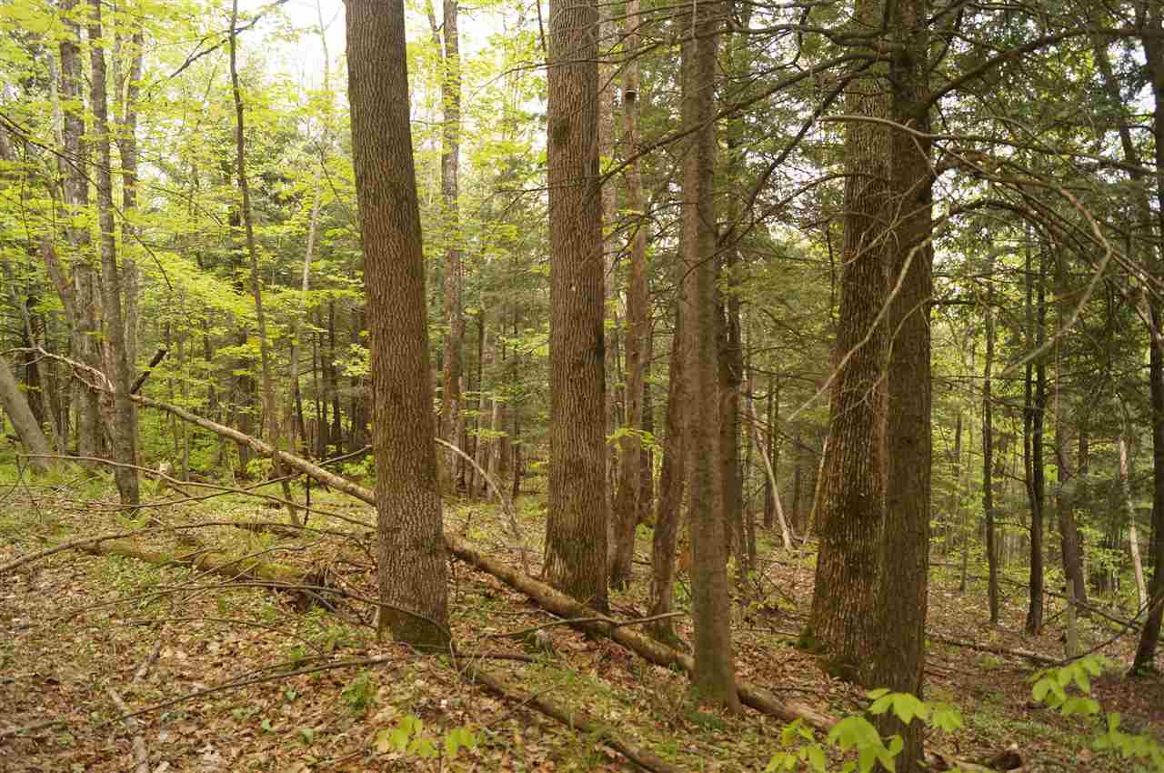 2851 Witchcat Road Bakersfield, VT 05450 - Photo 9 of 27