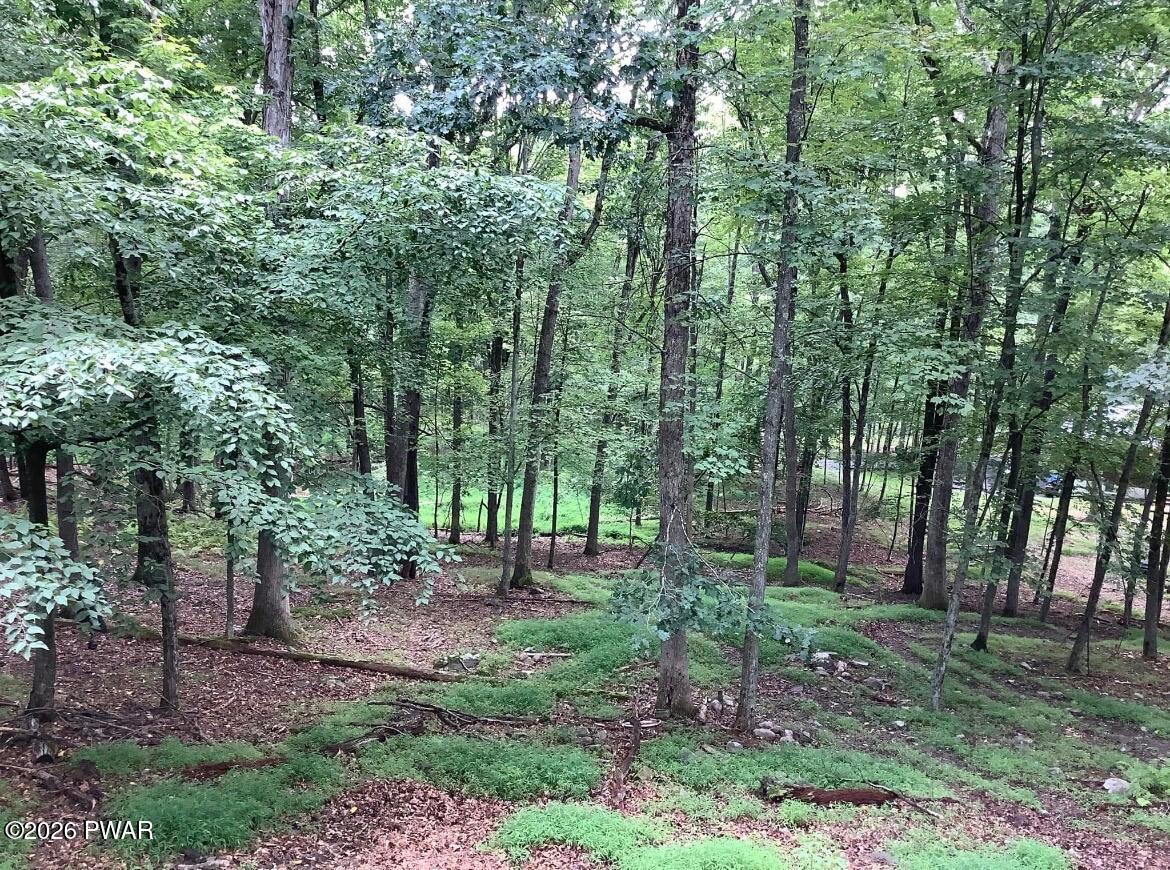 177 Forest Ridge Drive Hawley, PA 18428 - Photo 2 of 6