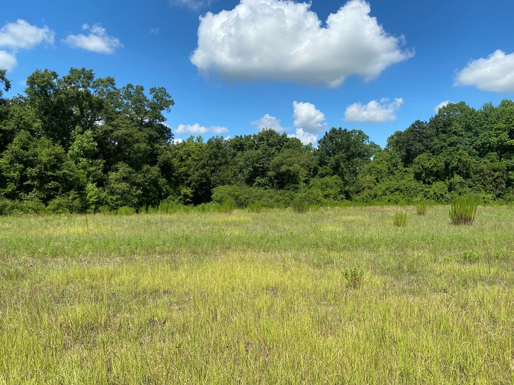 16-ac 16-ac National Road Dothan, AL 36301 - Photo 24 of 45