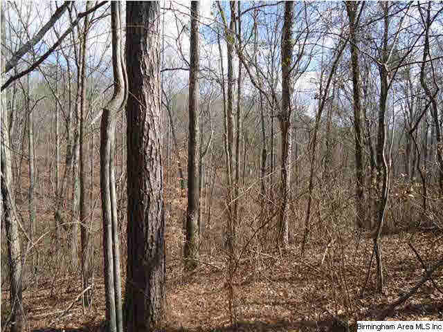 Loop Road Steele, AL 35987 - Photo 8 of 17