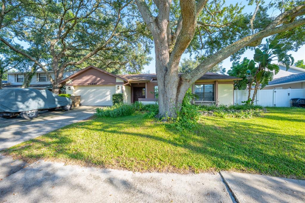 12929 Rain Forest Street Temple Terrace, FL 33617 - Photo 1 of 1 a view of a house with a yard patio and a large tree