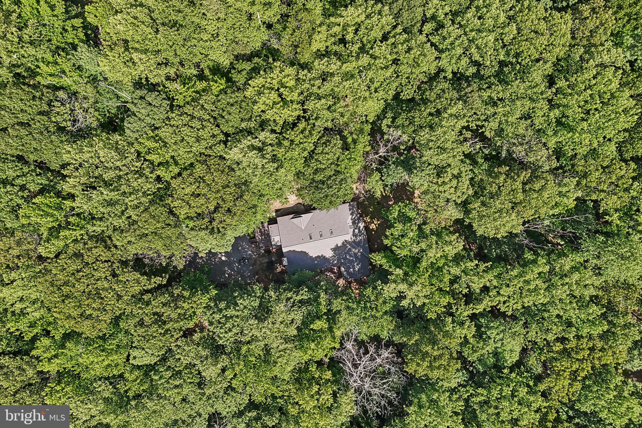 810 Governor Bridge Road Davidsonville, MD 21035 - Photo 62 of 68 Aerial Photography