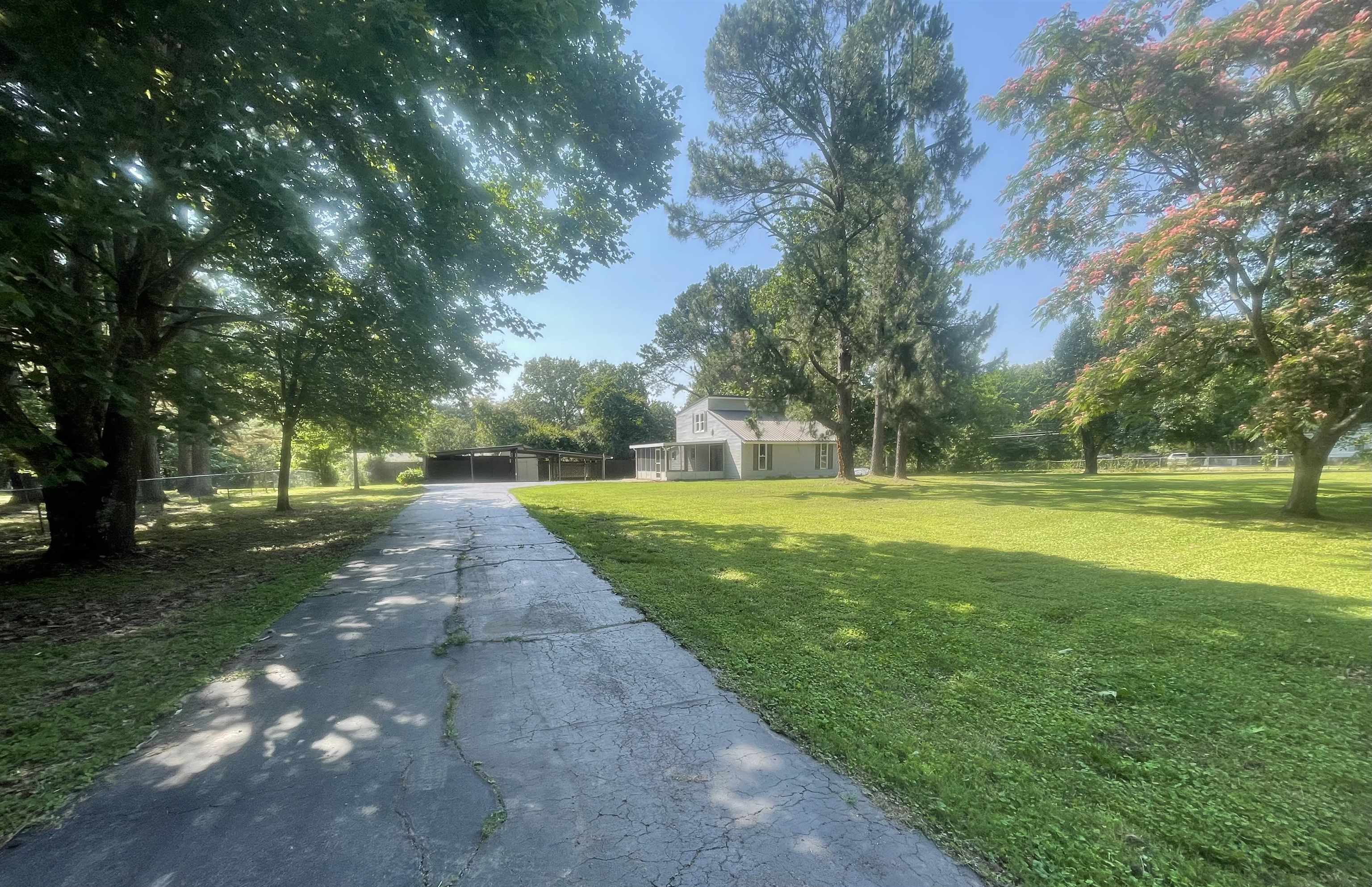 815 Fawn Road Oakland, TN 38060 - Photo 3 of 29 View of yard with driveway
