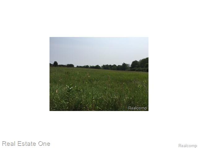 1 Spiroff Highland, MI 48357 - Photo 3 of 5