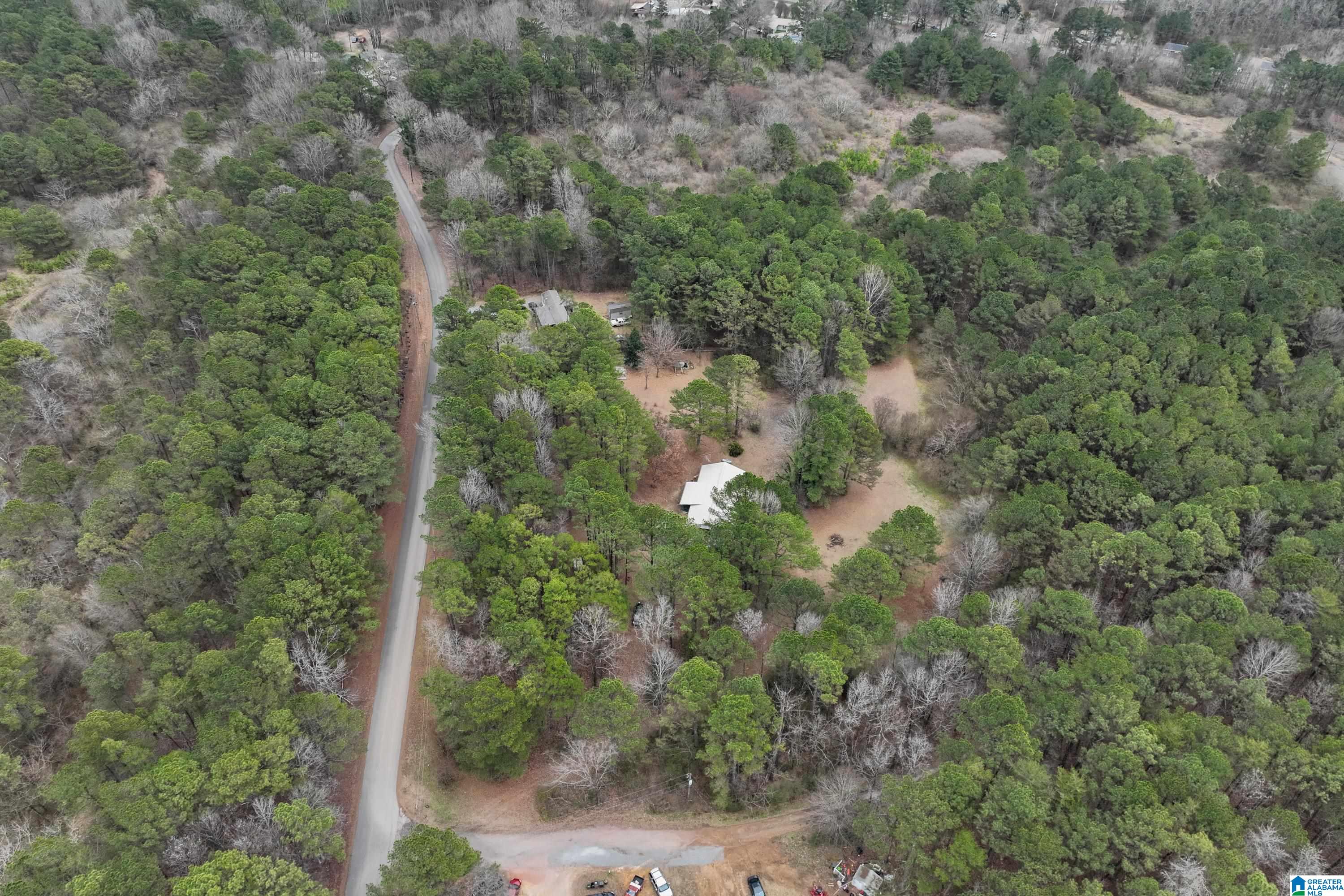 355 Whitlow Road Sumiton, AL 35148 - Photo 56 of 58