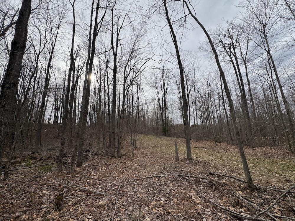 1734 North Galbraith Road Mio, MI 48647 - Photo 63 of 120 IMG_1902
