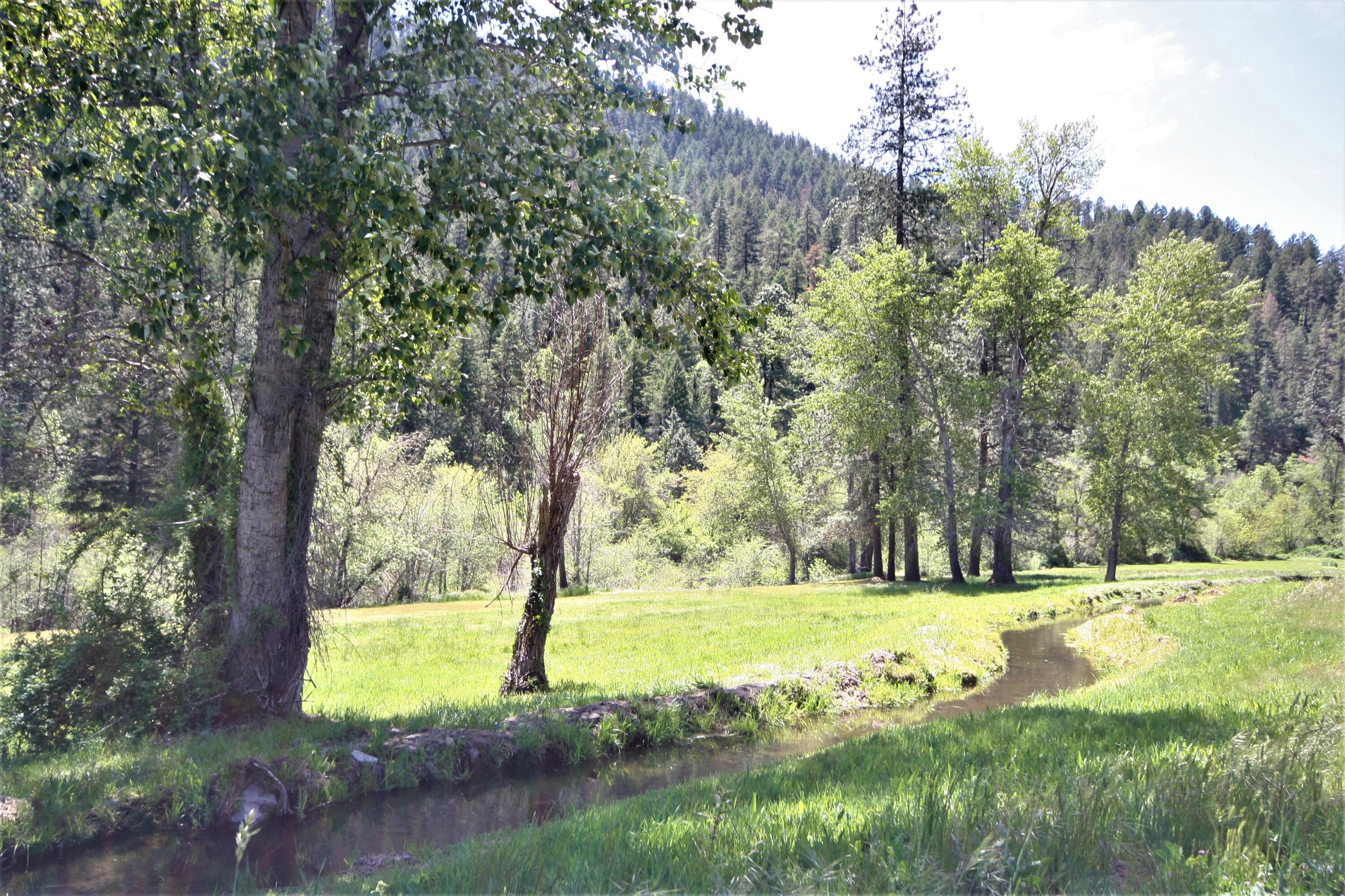 9075 Upper Applegate Road Jacksonville, OR 97530 - Photo 68 of 73 IMG_2474