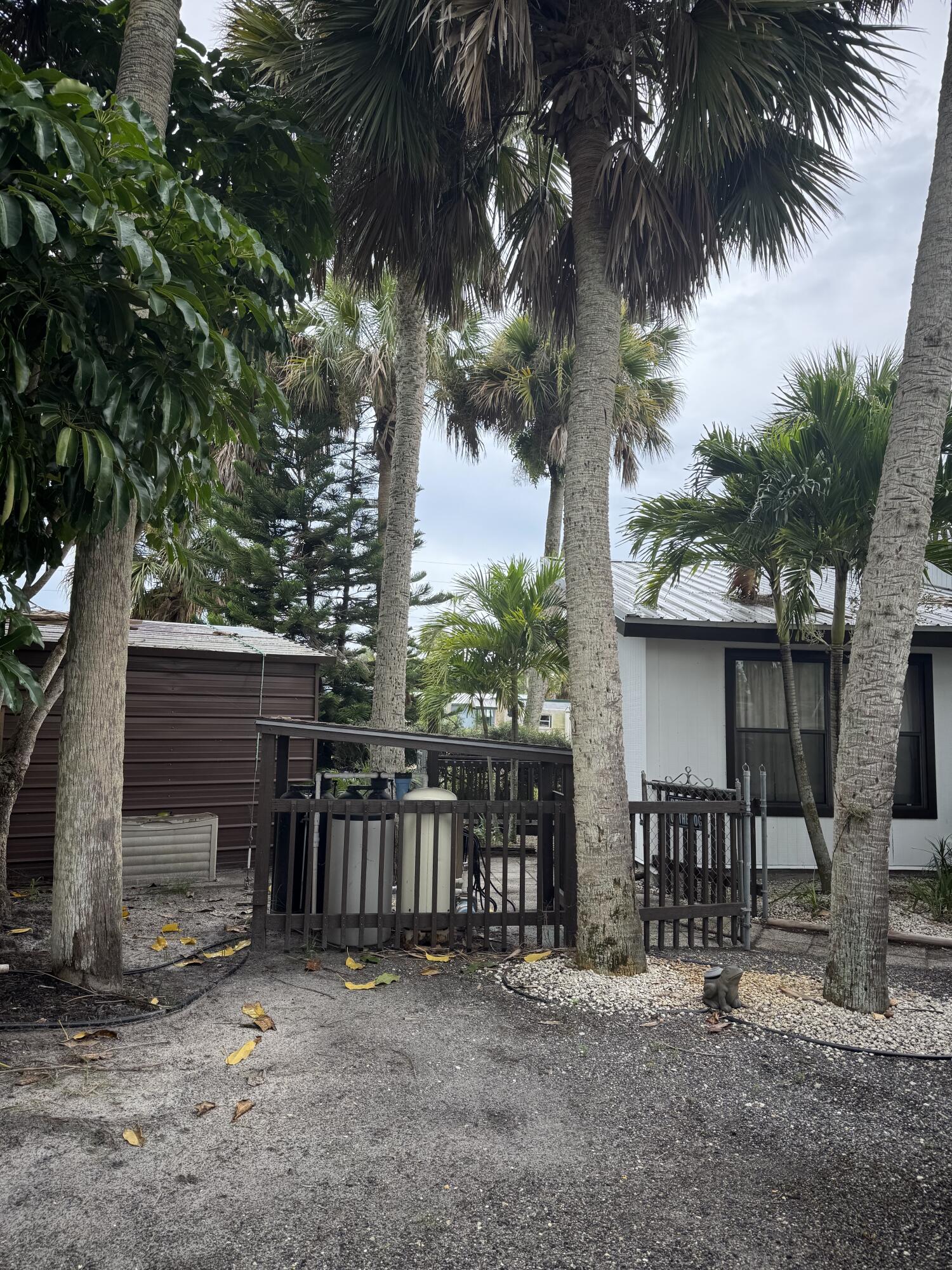 9636 Southwest Adams Avenue Okeechobee, FL 34974 - Photo 33 of 38 a backyard of a house with potted plants and large trees
