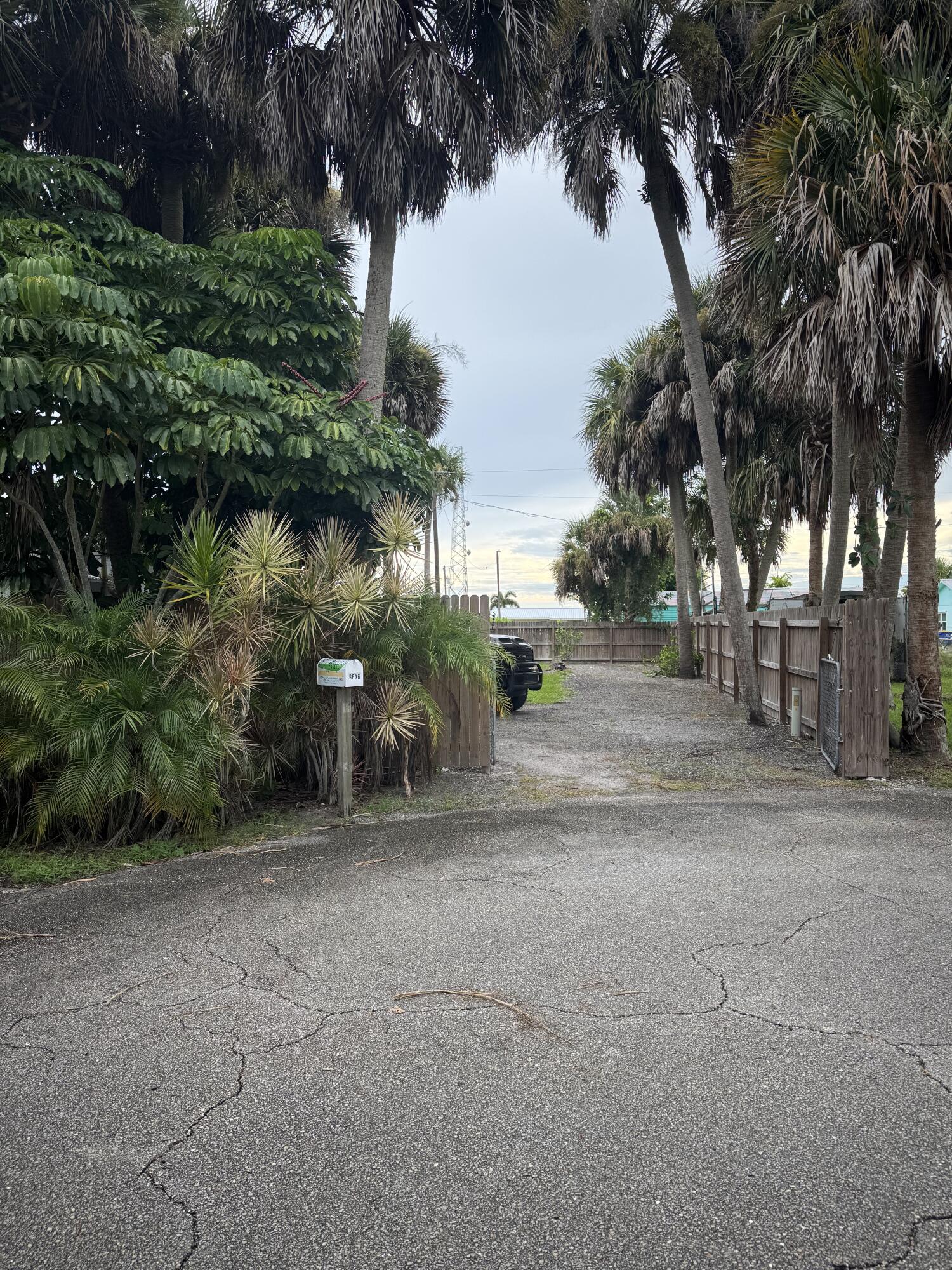 9636 Southwest Adams Avenue Okeechobee, FL 34974 - Photo 34 of 38 a view of a yard with a tree