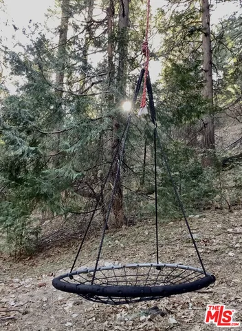 a view of a dry yard