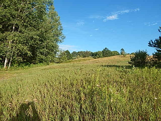 489 Grosse Pointe Road Barton City, MI 48705 - Photo 34 of 55 DSCN9640