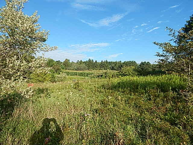 489 Grosse Pointe Road Barton City, MI 48705 - Photo 39 of 55 DSCN9645