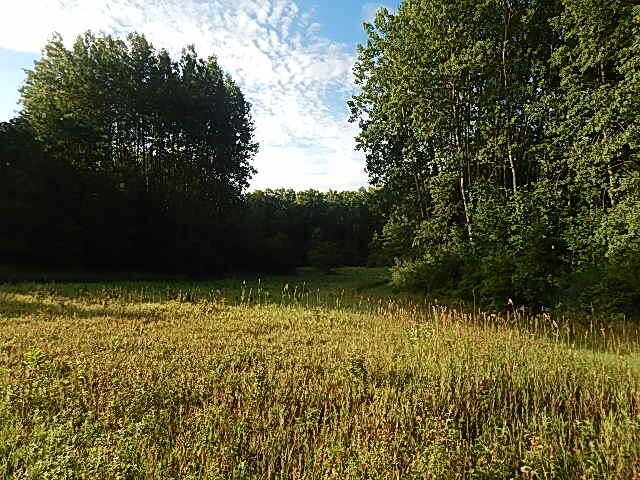 489 Grosse Pointe Road Barton City, MI 48705 - Photo 40 of 55 DSCN9646