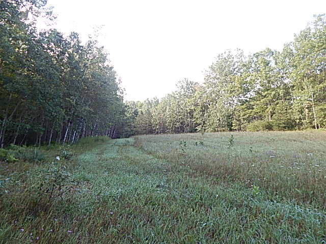 489 Grosse Pointe Road Barton City, MI 48705 - Photo 49 of 55 DSCN9655