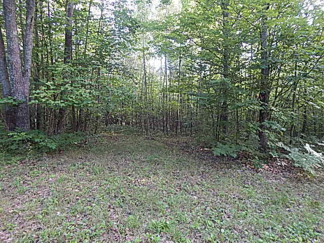 489 Grosse Pointe Road Barton City, MI 48705 - Photo 53 of 55 DSCN9659