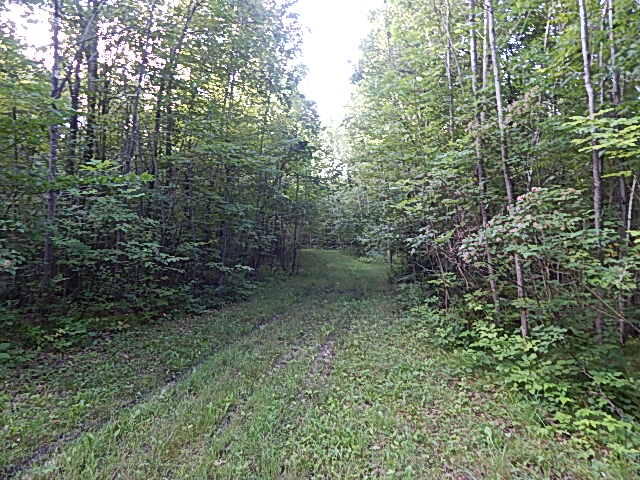 489 Grosse Pointe Road Barton City, MI 48705 - Photo 54 of 55 DSCN9660