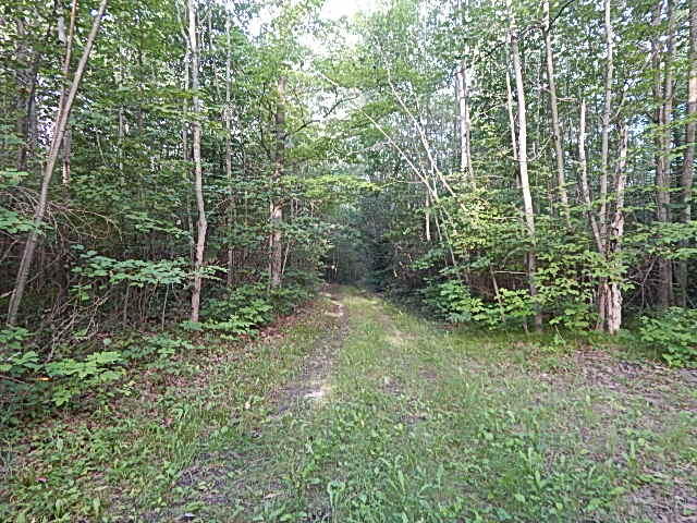 489 Grosse Pointe Road Barton City, MI 48705 - Photo 55 of 55 DSCN9661