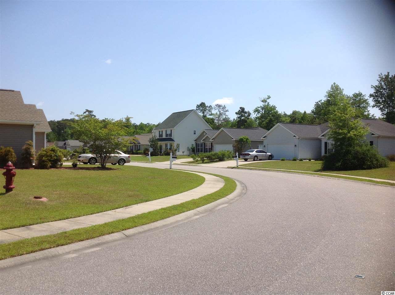 203 Black Bear Road Myrtle Beach, SC 29588 - Photo 5 of 8 Gallery Image 5