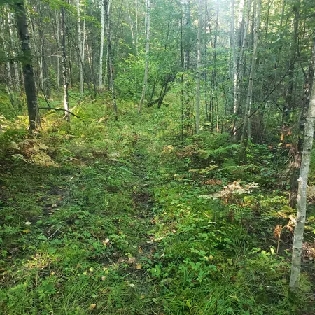 $274,900 | Tbd Gamma Road, Kabetogama, MN 56669