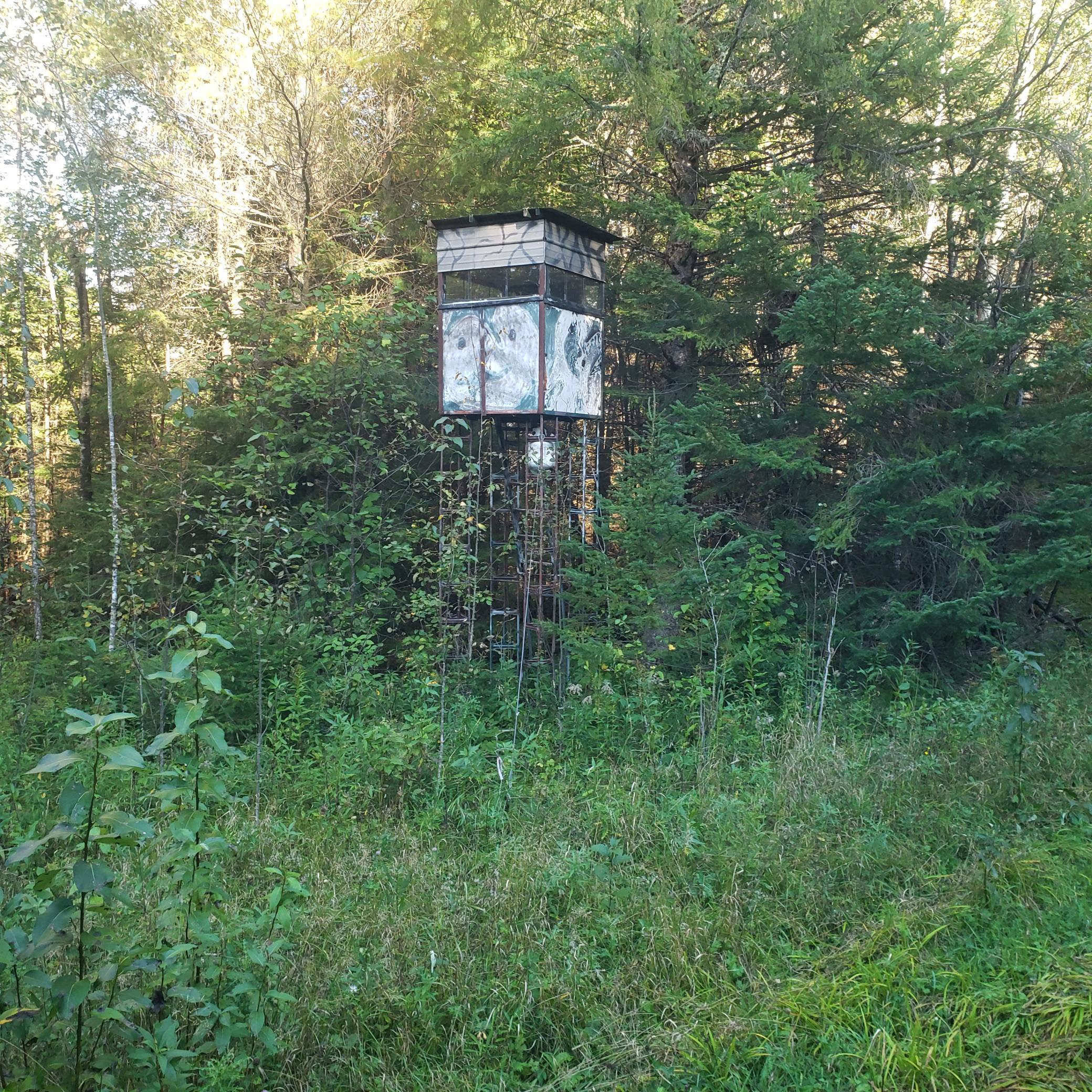 Tbd Gamma Road Kabetogama, MN 56669 - Photo 4 of 8