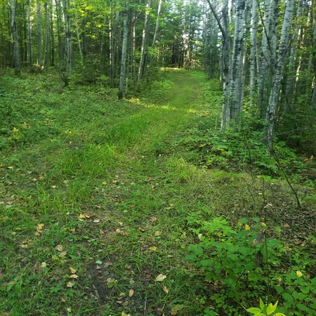 $274,900 | Tbd Gamma Road, Kabetogama, MN 56669