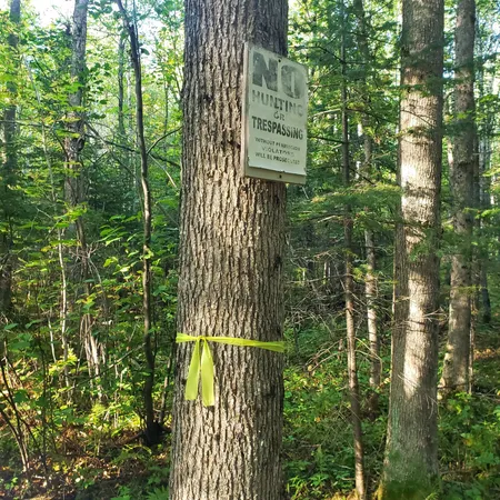 $274,900 | Tbd Gamma Road, Kabetogama, MN 56669