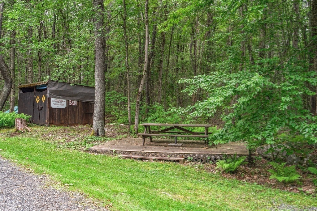 116 Skyline Trail Middlefield, MA 01235 - Photo 31 of 37 a view of a bench in the garden